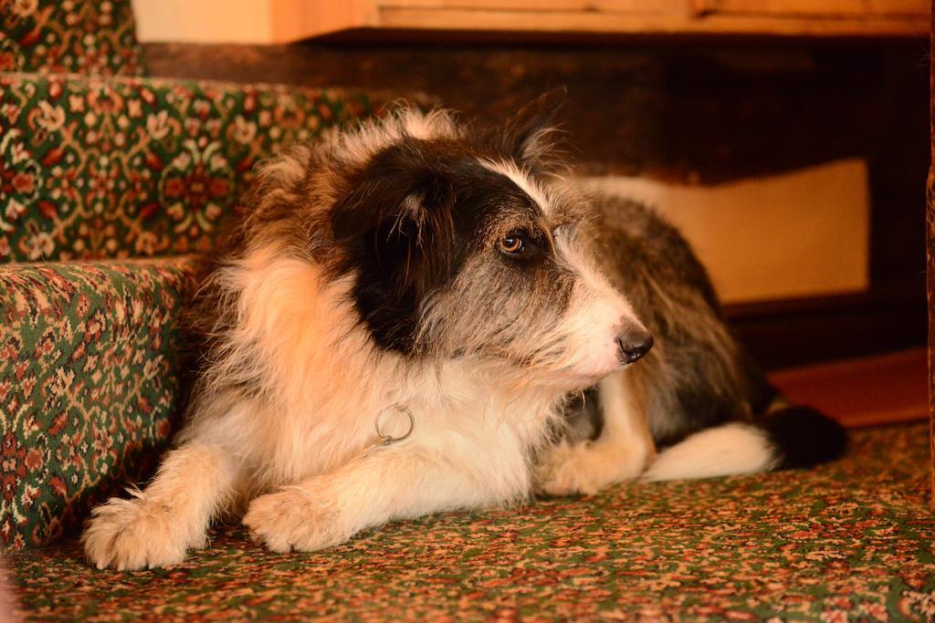 Badgers Hall Chipping Campden Εξωτερικό φωτογραφία