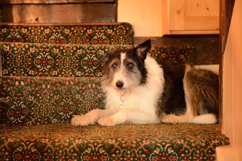Badgers Hall Chipping Campden Εξωτερικό φωτογραφία